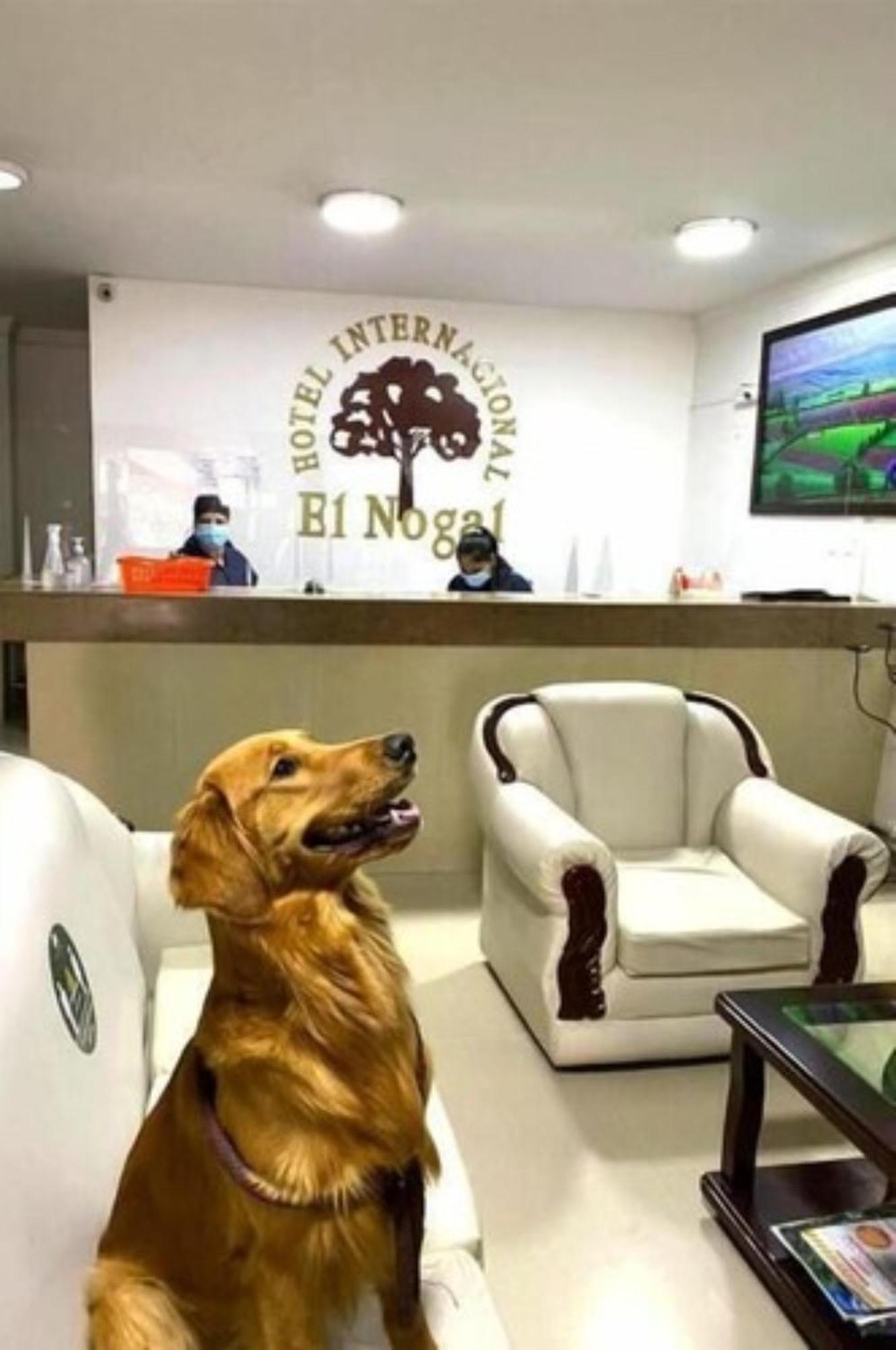 Internacional El Nogal Ipiales Hotel Eksteriør billede